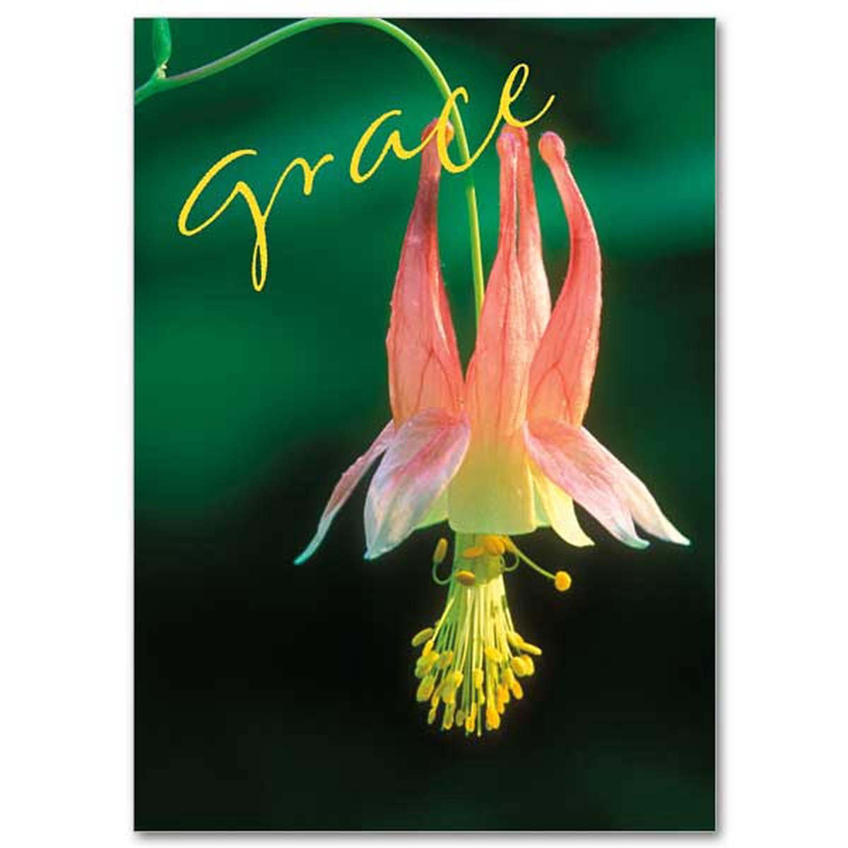 "Grace" Greeting Card