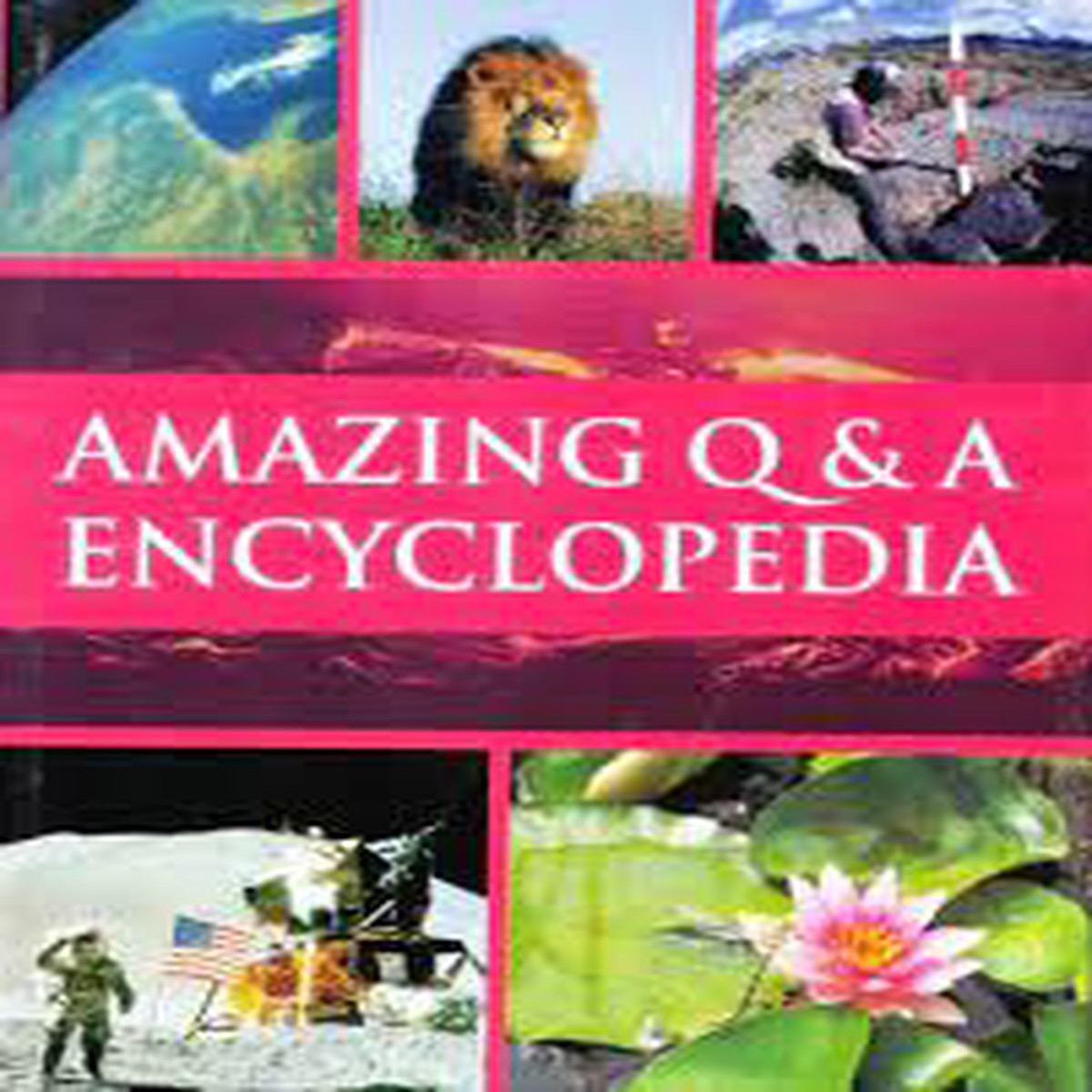 Amazing Q & A Encyclopedia
