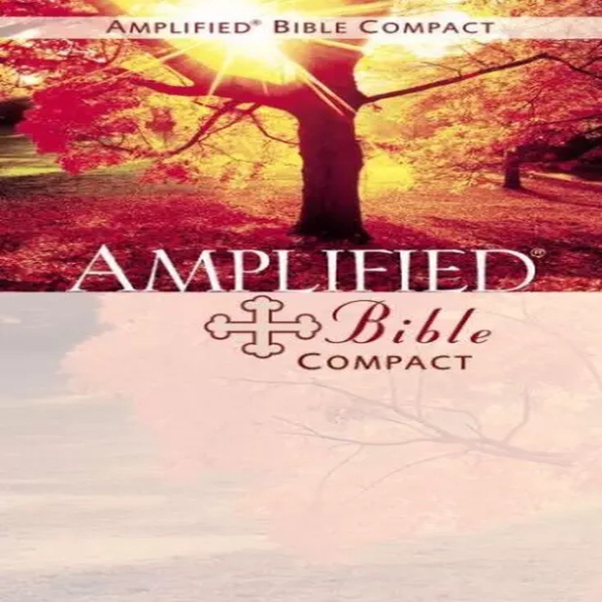 Amplified Bible Compact