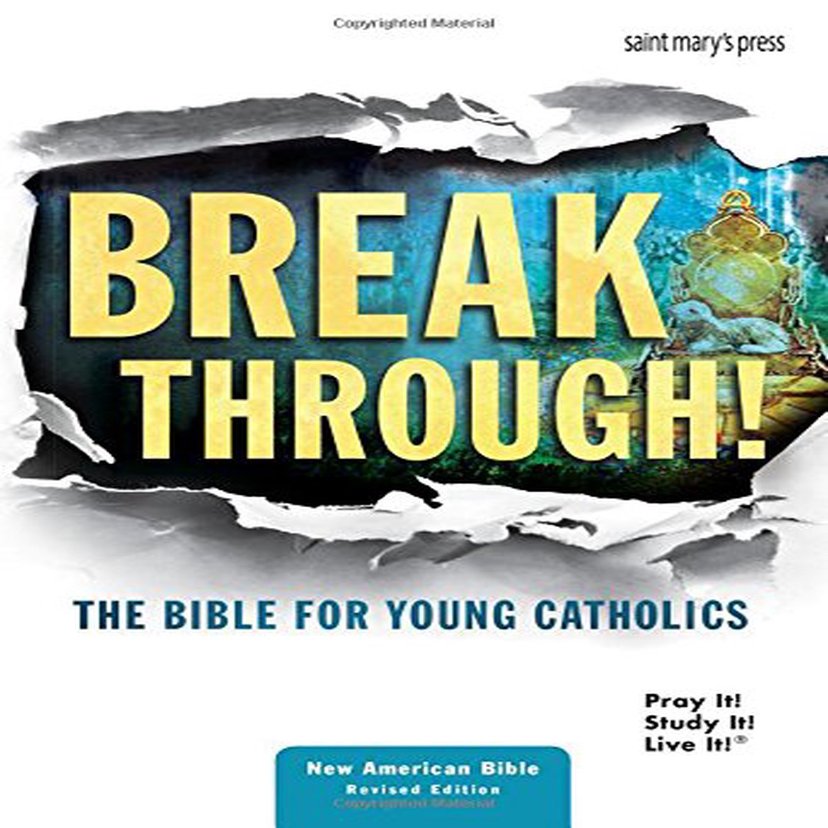 Break Through! The Bible for Young Catholics