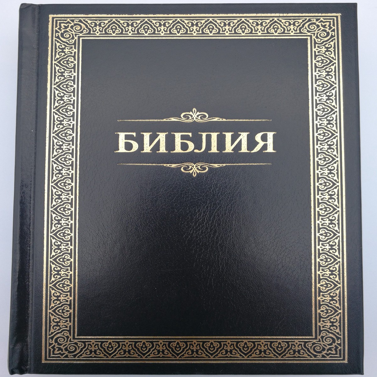- Russian Bible with parallel passages /